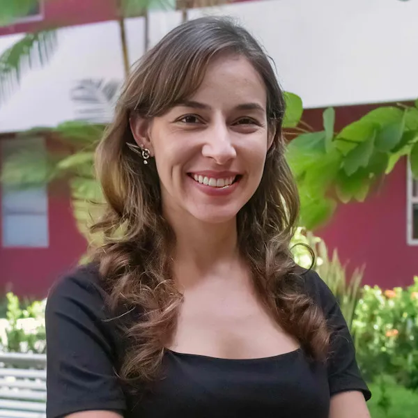 perfil
