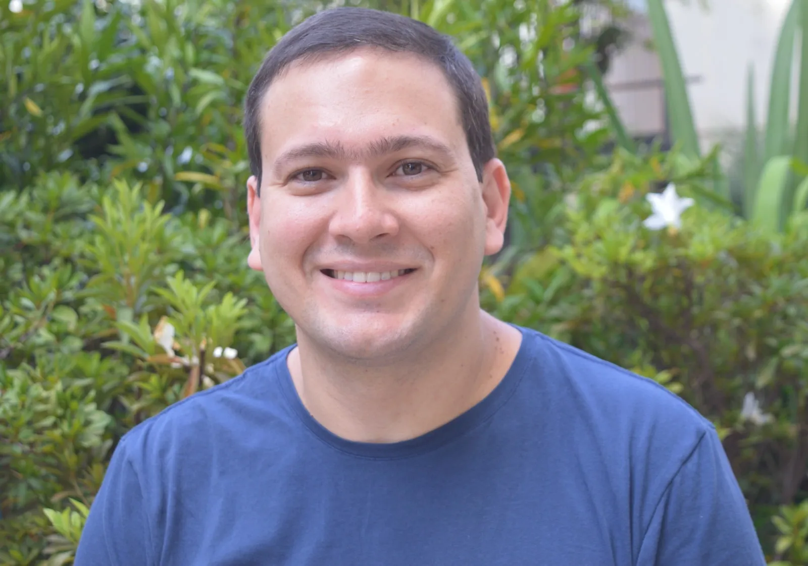 perfil